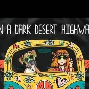 Meet your Posher, Darlene